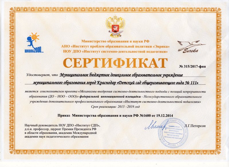 Сертификат участника ФИП